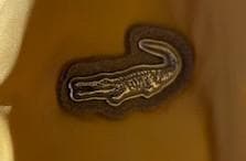 【新品】 クロコダイル ダウンジャケット　ＬＬ