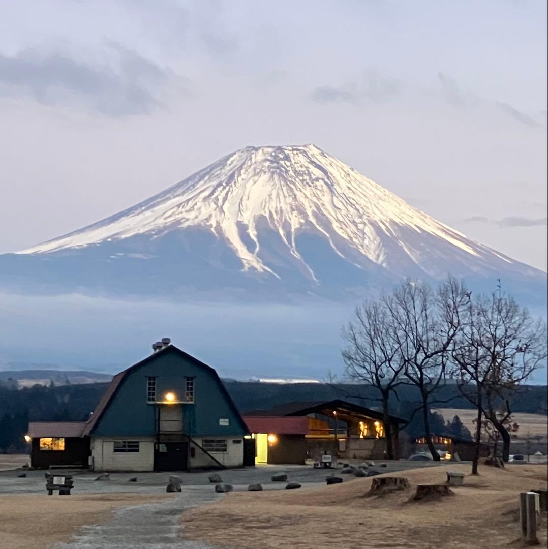 取説付《グリップスワニー仕様》二股フレーム＋棟ポール　らくらく設営快適⭐︎