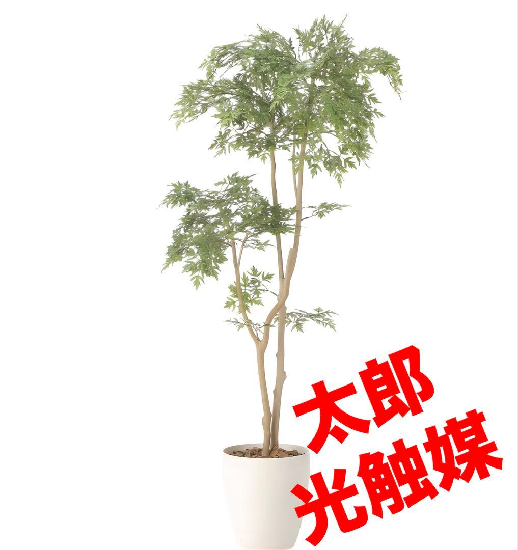 光触媒　人工観葉植物　ウォールグリーン　フェイクグリーン　タイワンモミジ1.3z