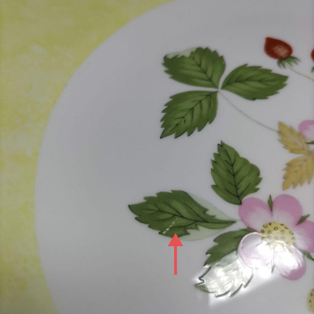 ウェッジウッド ワイルドストロベリー フルリムプレート５色セット 20.5cm