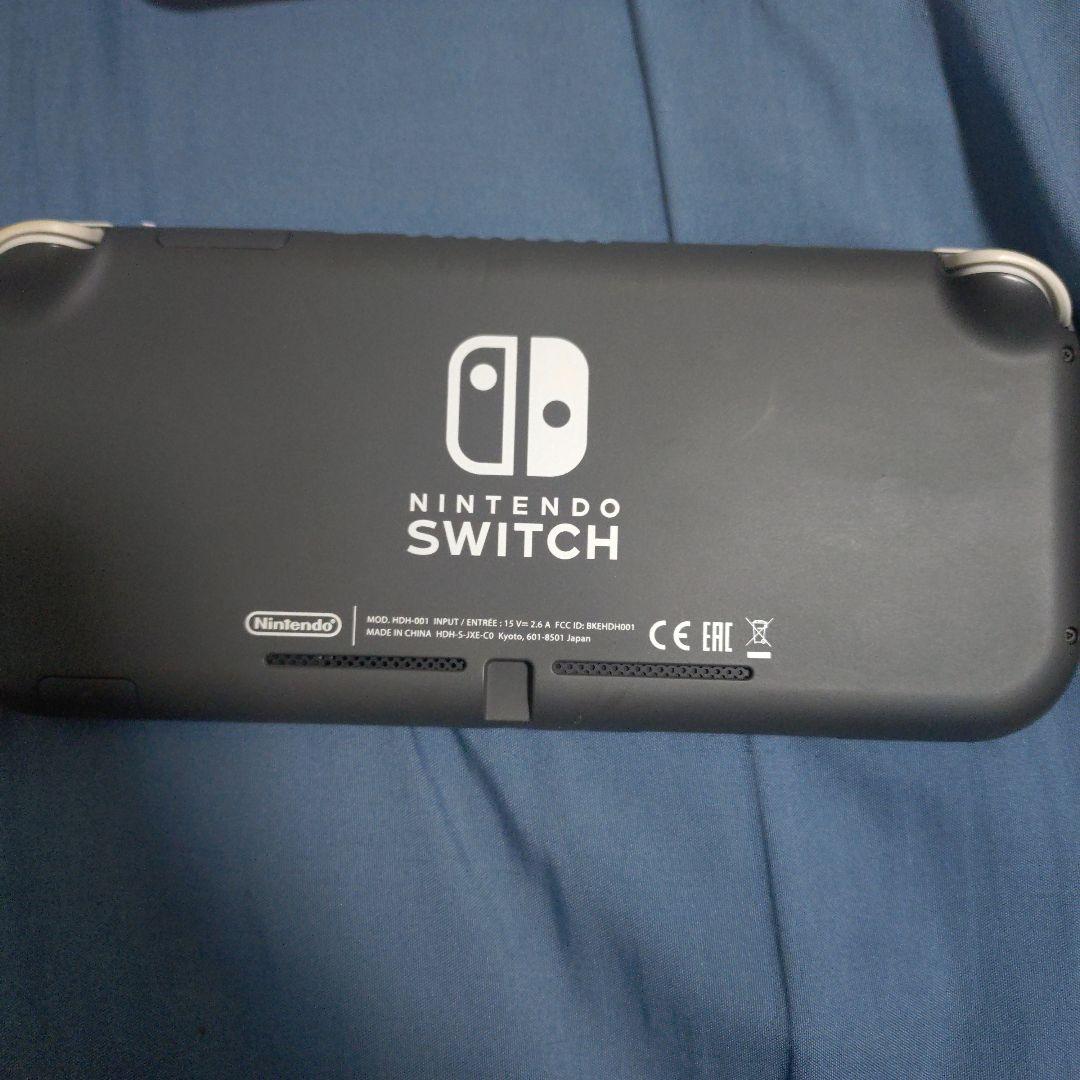 Switchライト　画面映らないためジャンク品 本体のみ