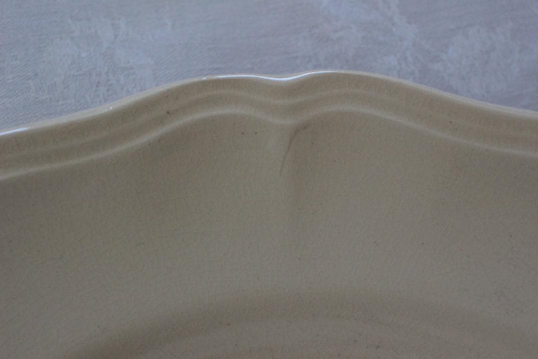 2枚セット　D・サルグミンヌ 花リムアイボリー25cm