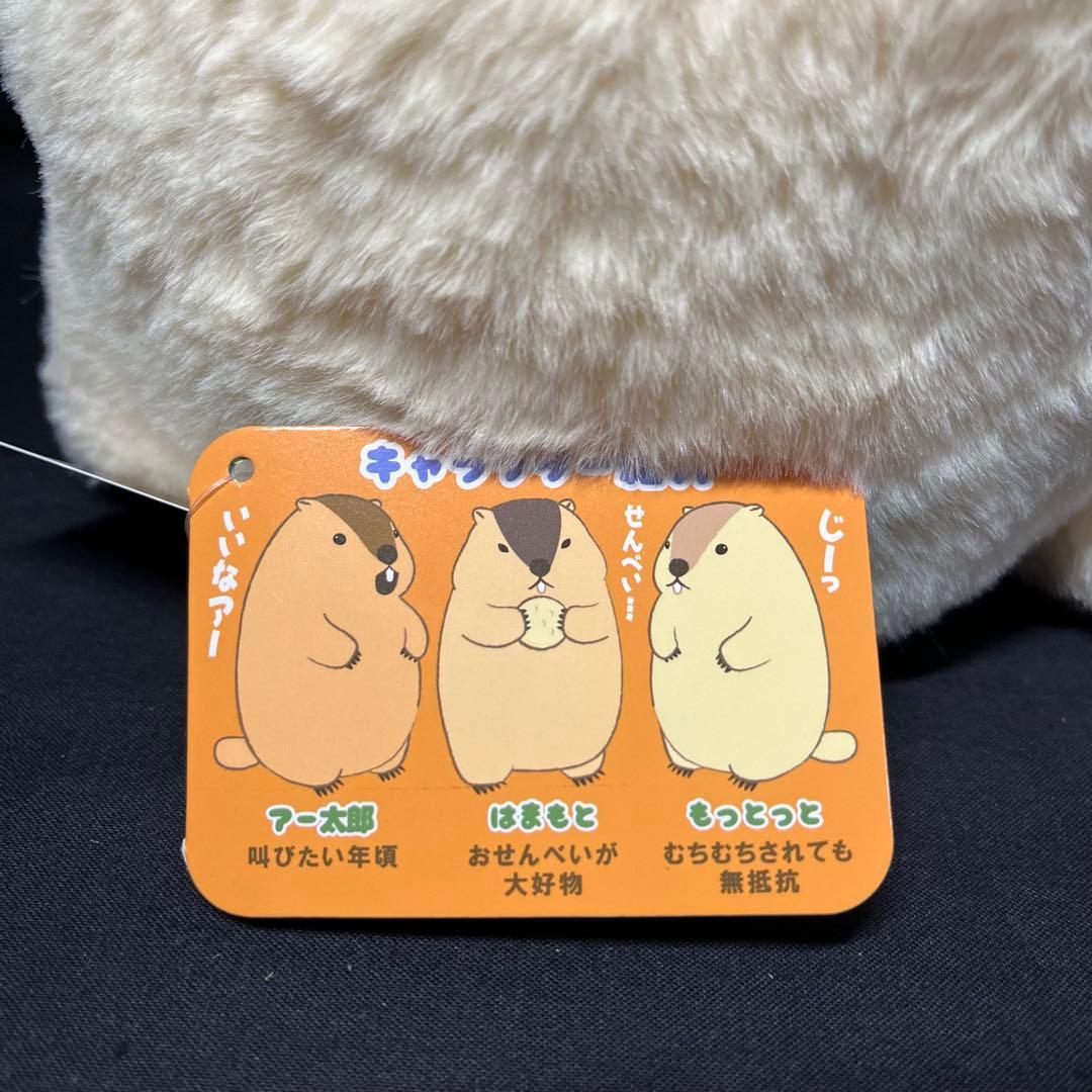 マーモットのもっとっと JB アー太郎 はまもと もっとっと ぬいぐるみ