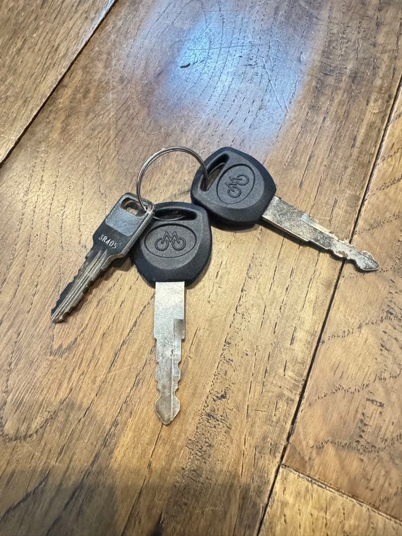 MATE X 250 電動自転車 ブラック