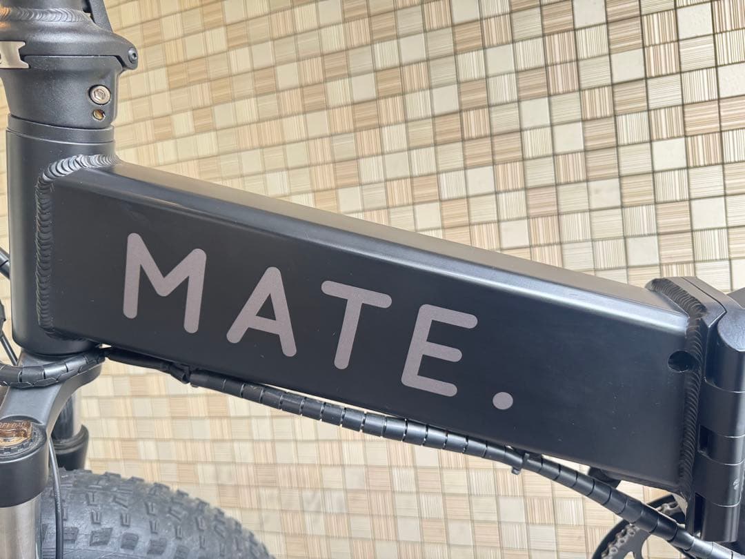 MATE X 250 電動自転車 ブラック