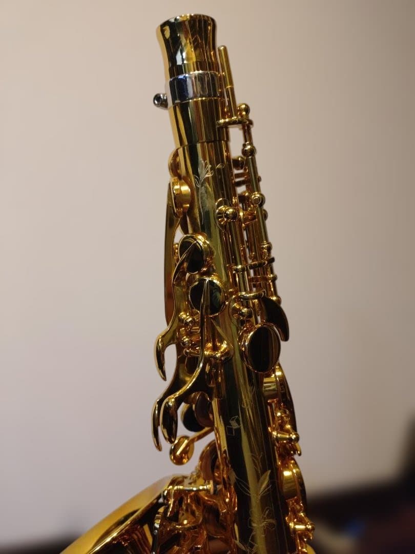 セルマー(Selmer)シュプレームアルトDARK GL(伊東たけし)選定品