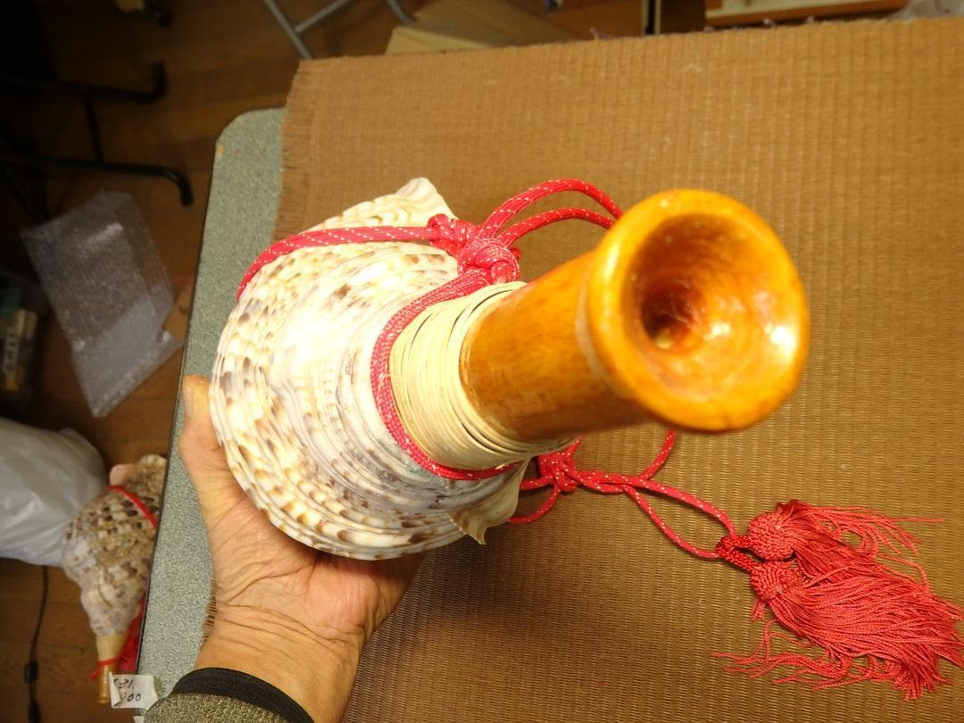法螺貝 約38㎝ 木製歌口,赤紐付　新品　 MH-433