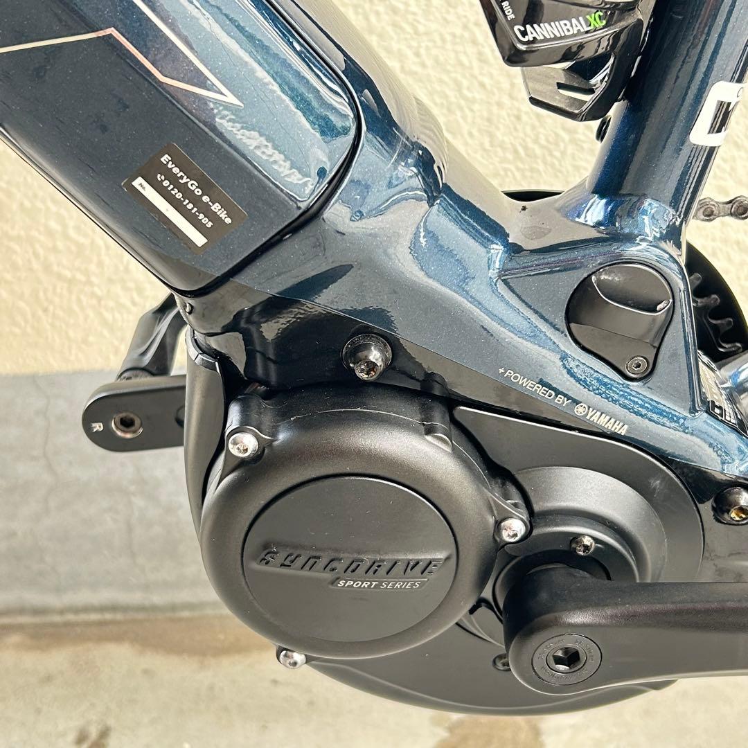 久ちゃん 　GIANT ROAD E+ 2023年　 走行500キロ