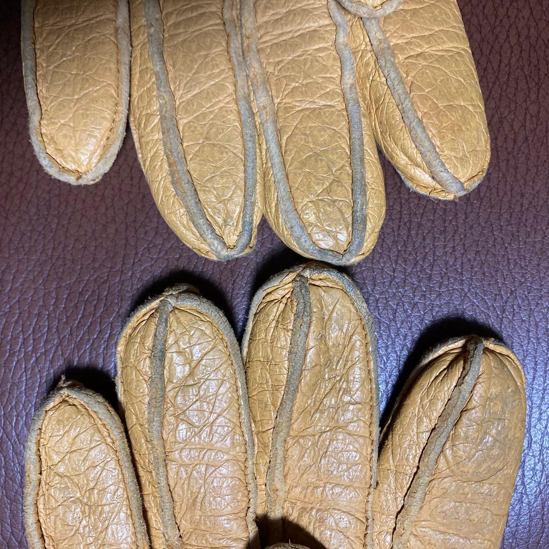 DENTS ペッカリー グローブ (カシミヤライニング) デンツ 手袋 コルク