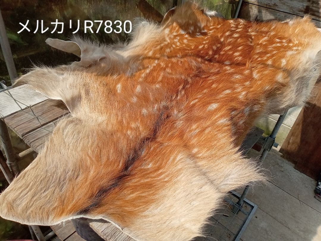 特上　天然日本鹿　夏毛　ラグ