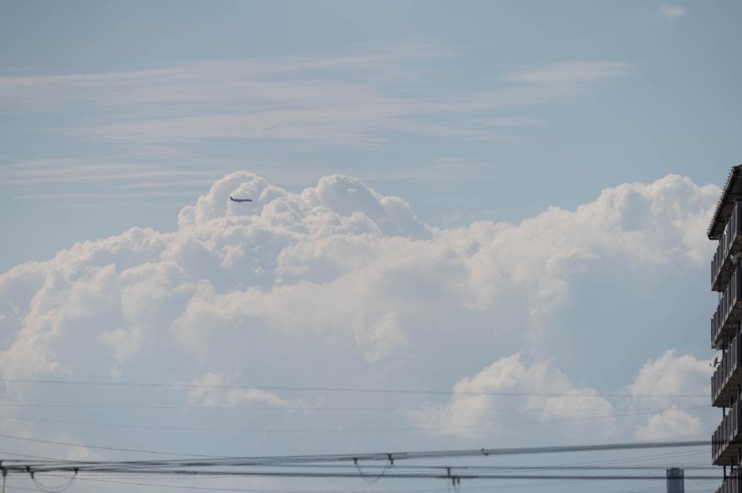 レンズ(ズーム) TAMRON 150-600mm F/5-6.3 Di VC USD G2