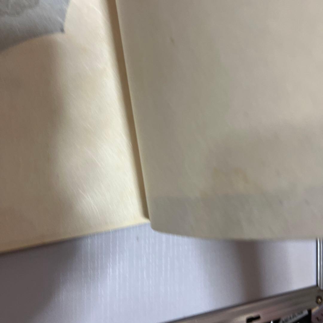 天照皇大御神司命神 岩長姫命神示録