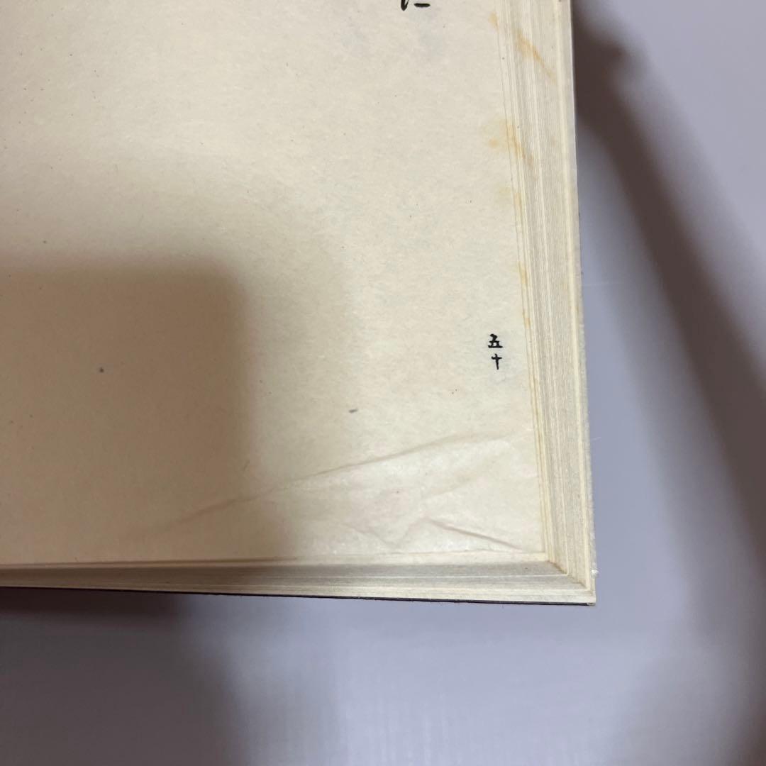 天照皇大御神司命神 岩長姫命神示録