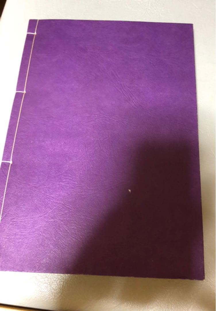 天照皇大御神司命神 岩長姫命神示録