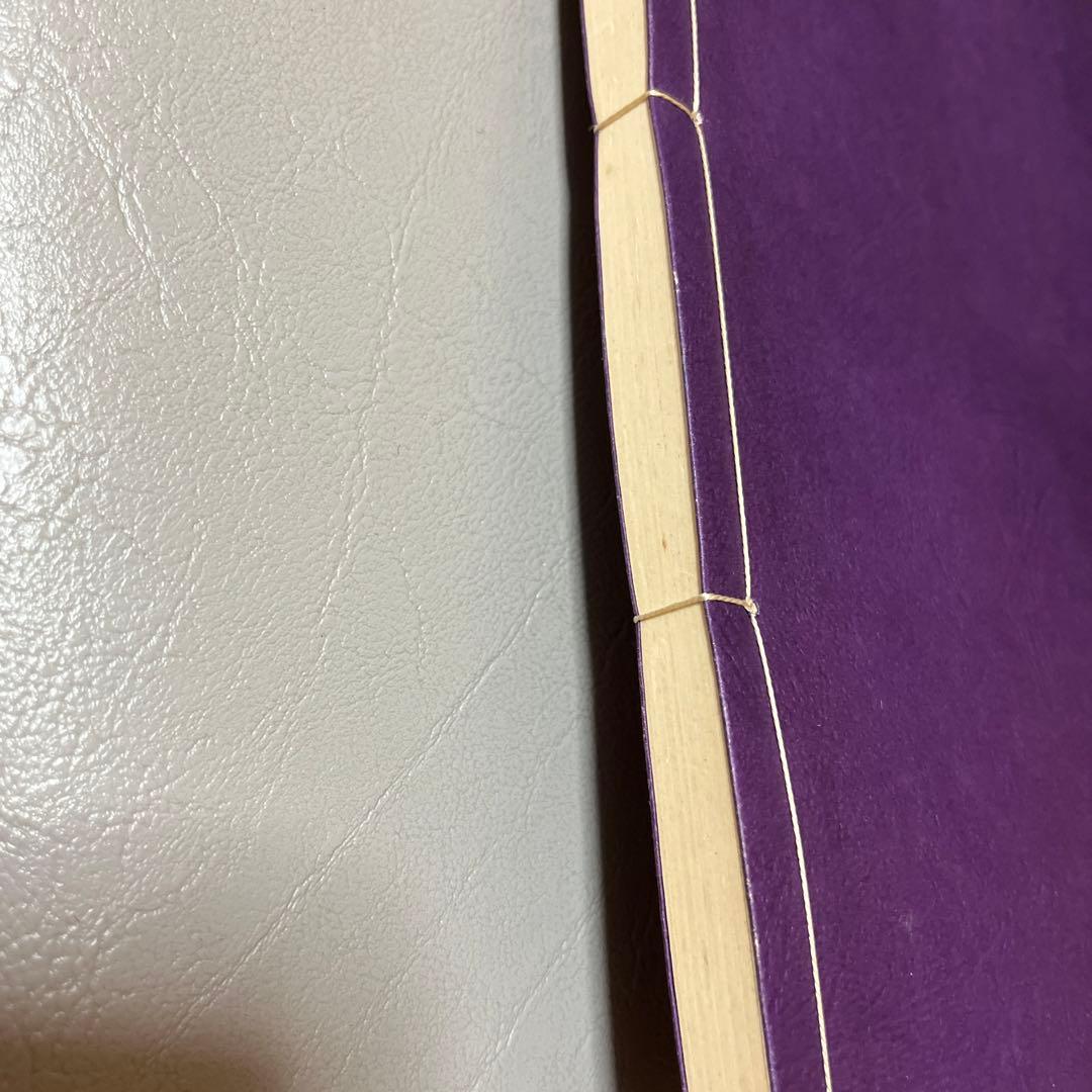 天照皇大御神司命神 岩長姫命神示録