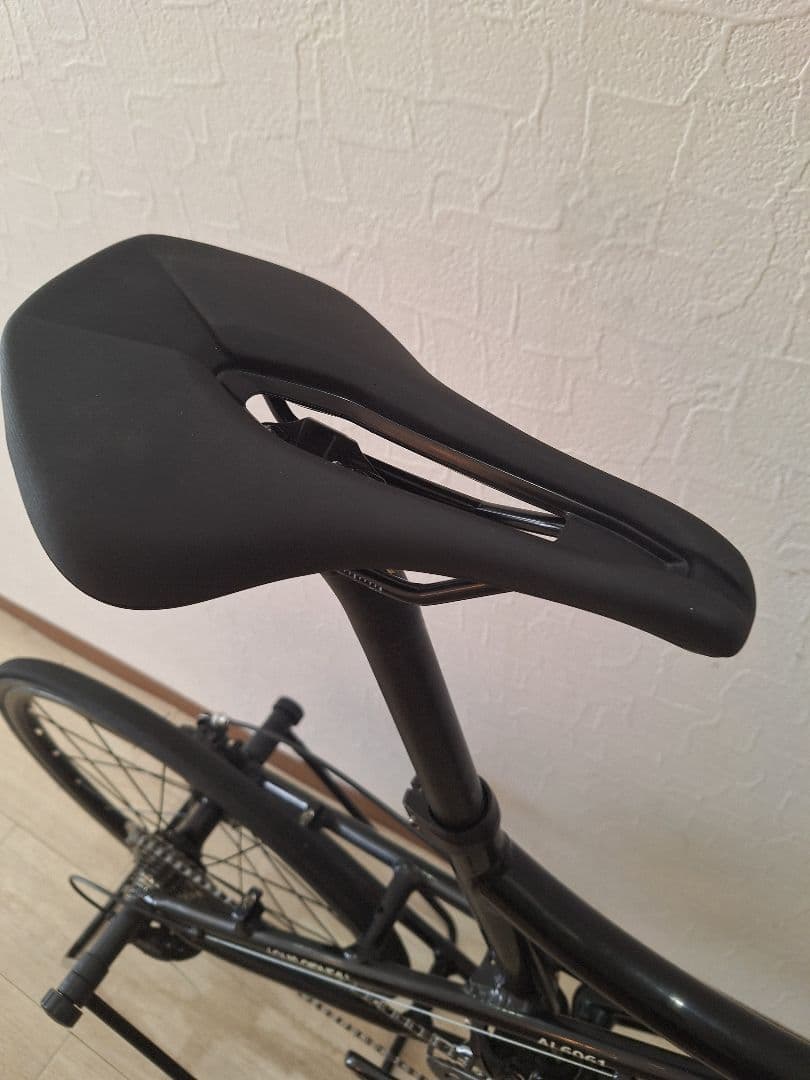 LOUIS GARNEAU ルイガノ MV1改 フルカスタム SORA 2×9