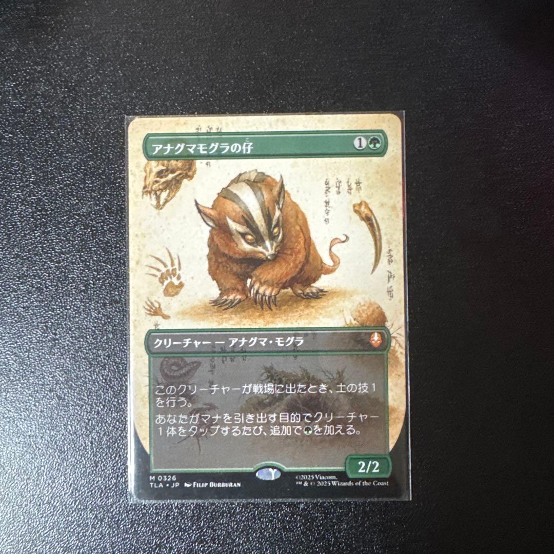 MTG フルアート アナグマモグラの仔 - マジック：ザ・ギャザリング送料