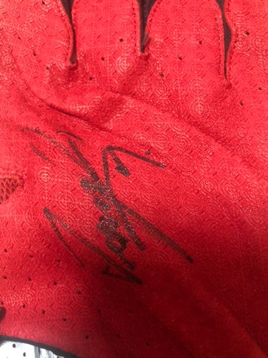 バッティンググローブ　本人使用