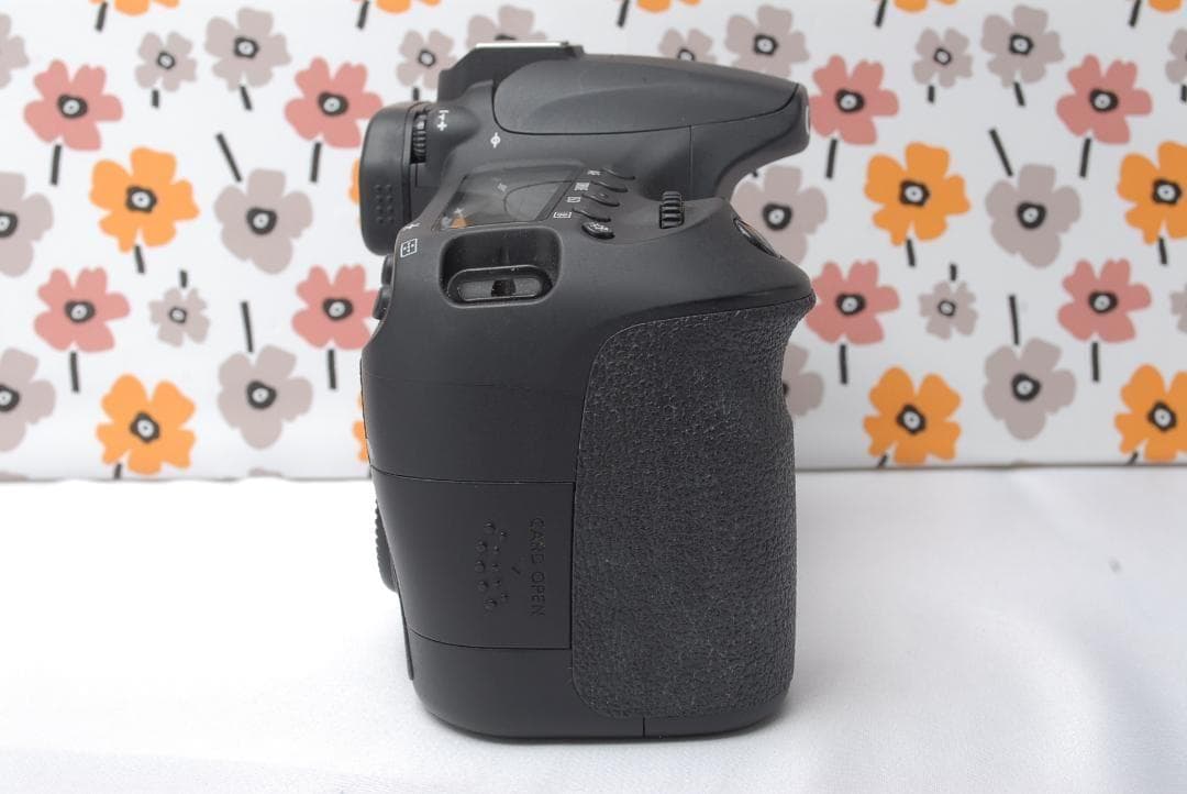 ❤Canon EOS 60D❤スマホ転送OK❤美品❤秋の行楽シーズンに❤