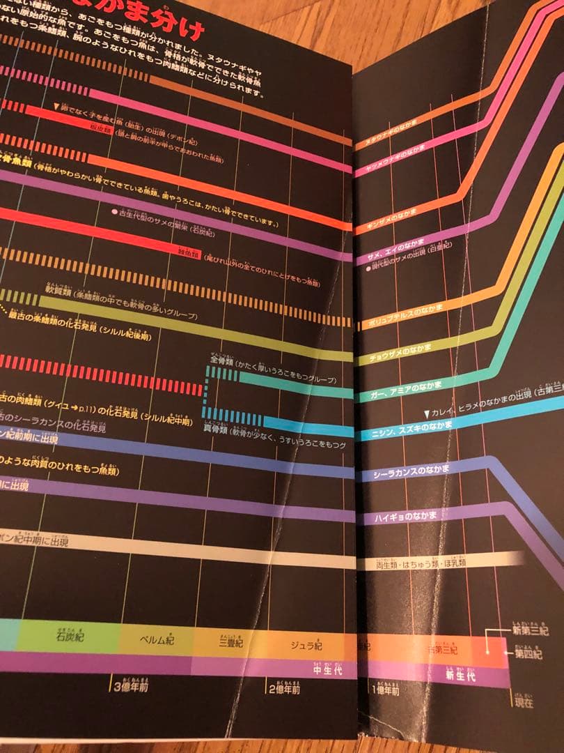 【新版】小学館の図鑑NEO 12冊セット