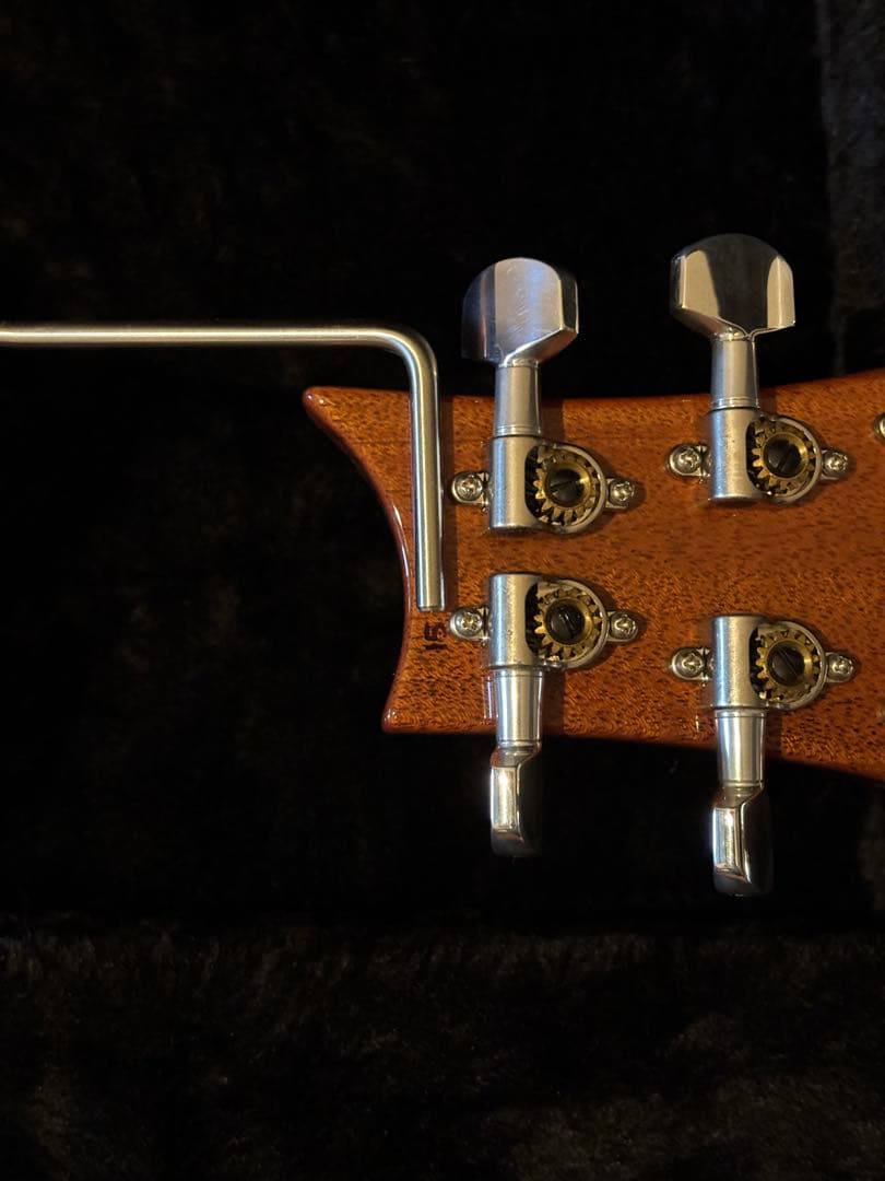 PRS Custom24 KID Ltd Wood Library - メルカリ