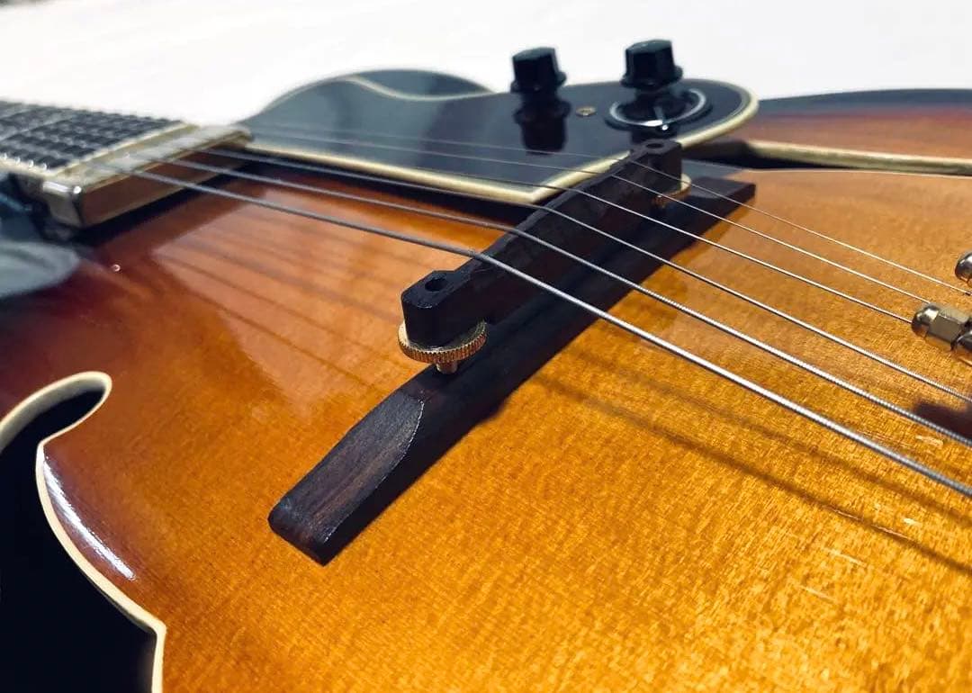 美品 Epiphone EMPEROR VC 97年製 動作良好 w/HC - メルカリ