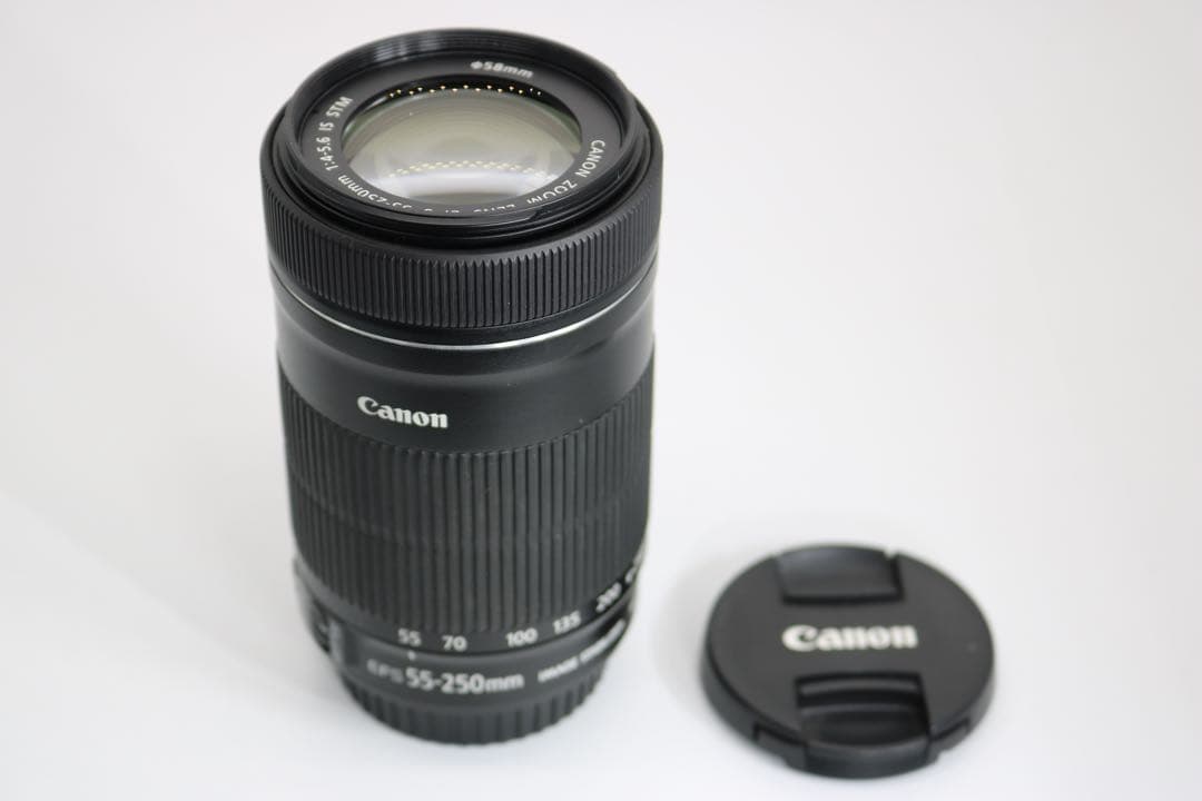 超美品 【Canon EF-S 55-250mm IS STM】 望遠レンズ