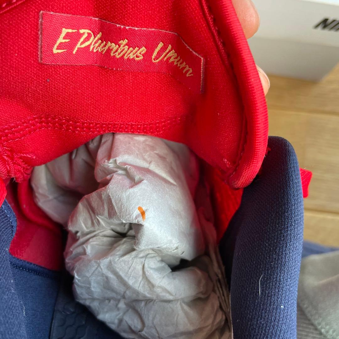 シューズ(男性用) NIKE AIR ZOOM BB NXT