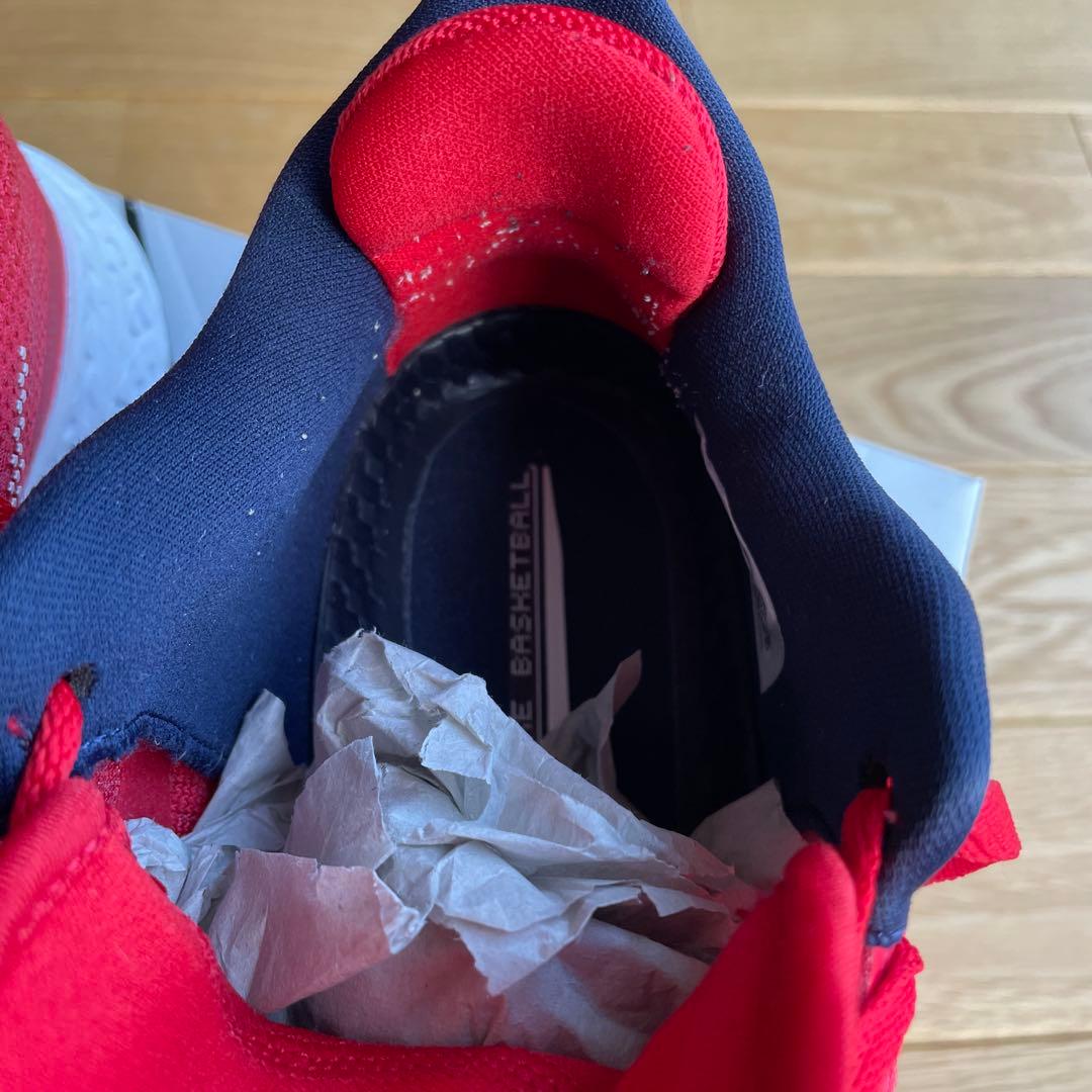 シューズ(男性用) NIKE AIR ZOOM BB NXT