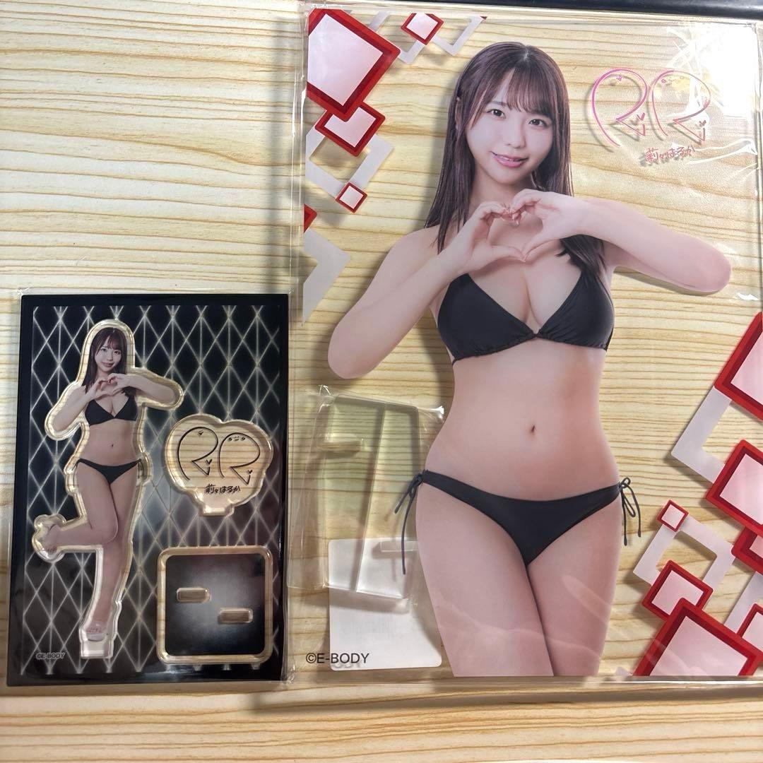 莉々はるか　アクスタ　アクリルスタンド アクリルパネル　2点セット