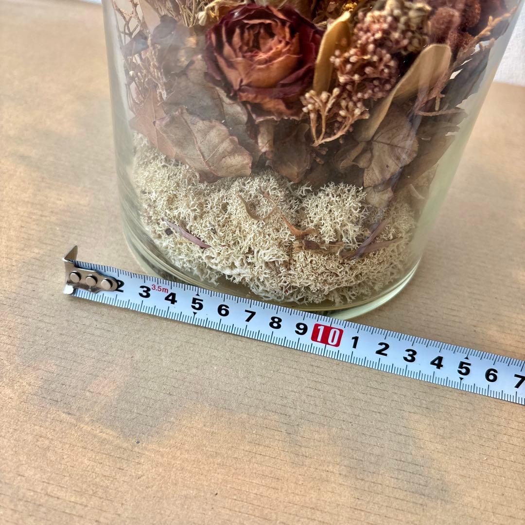 大きいサイズ❣️ m.soeur エムスール ボトルライト ドライフラワー