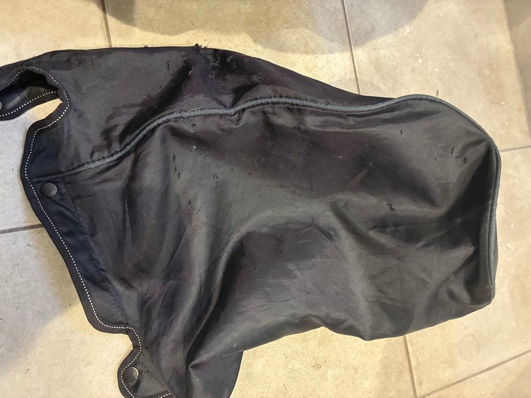 レア！オデッセイ　スタンドキャディバッグ