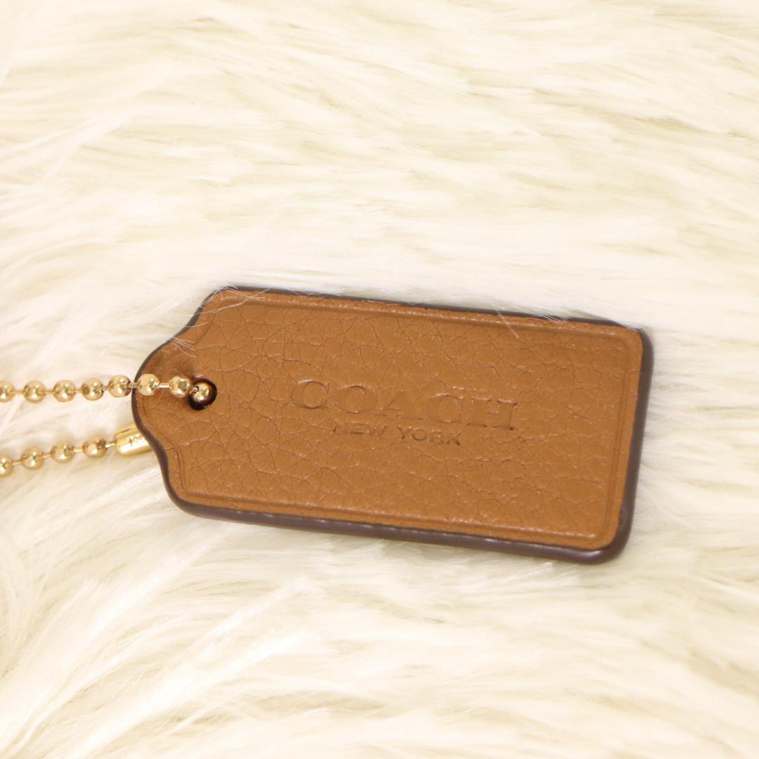 美品 COACH ボディバッグ レザー F48738　キャメル ウエストポーチ