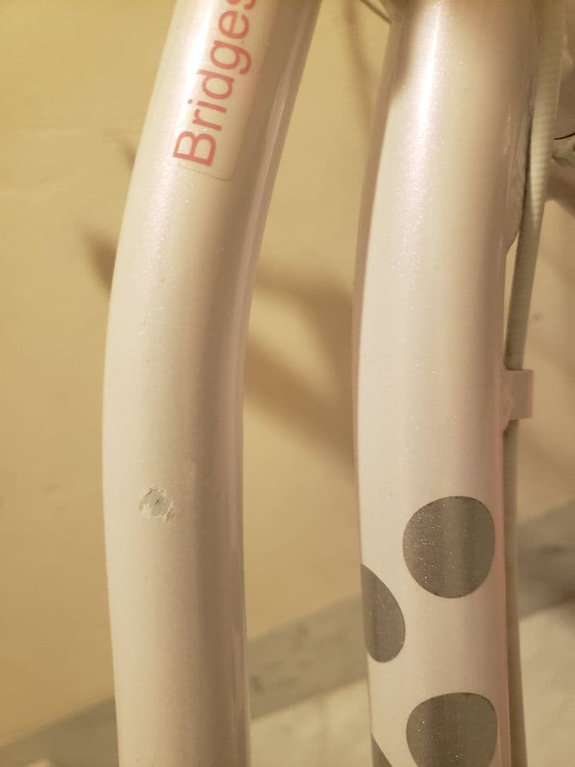 BRIDGESTONE Wild Berry 22 子供用 【室内保管・直渡し】