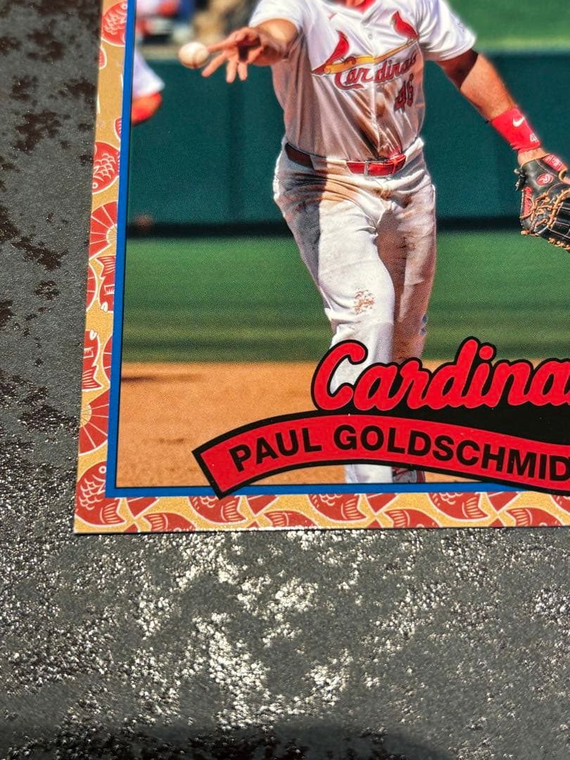 Jカード2019 GEM 5枚限定 シュミットダニエル Jカード2019