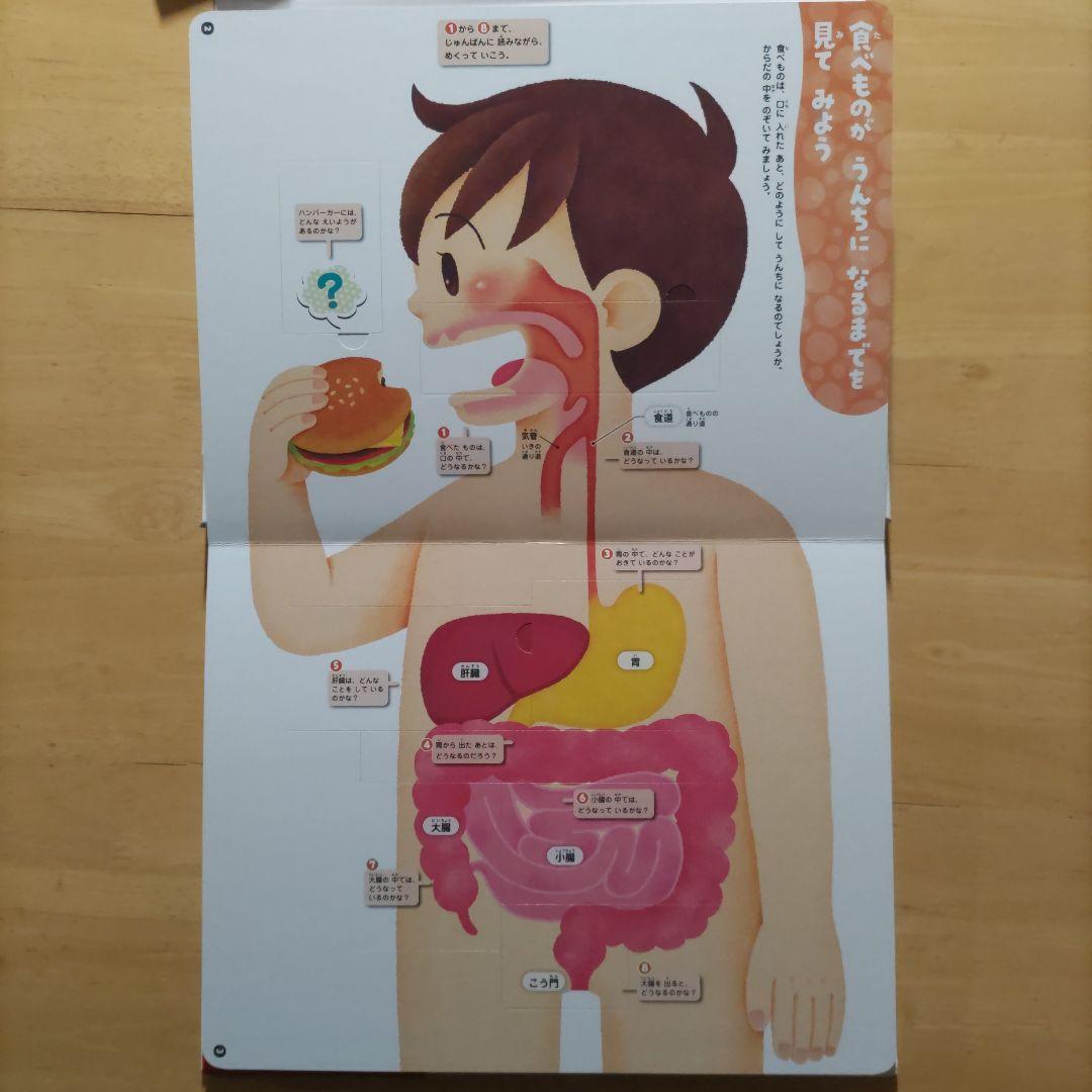 学研 めくって学べる しくみ図鑑 てんき・うちゅう・からだ・せかい ４巻セット