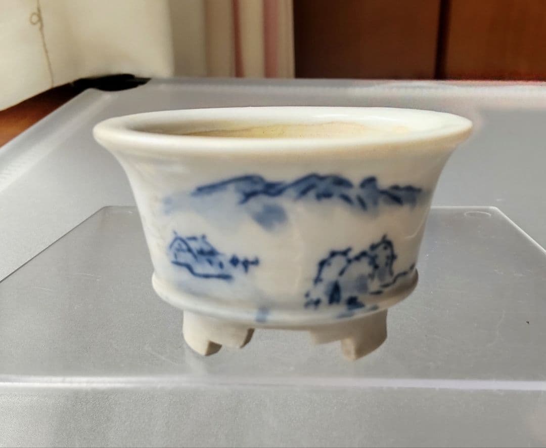 【陶翠】盆栽鉢4点セット