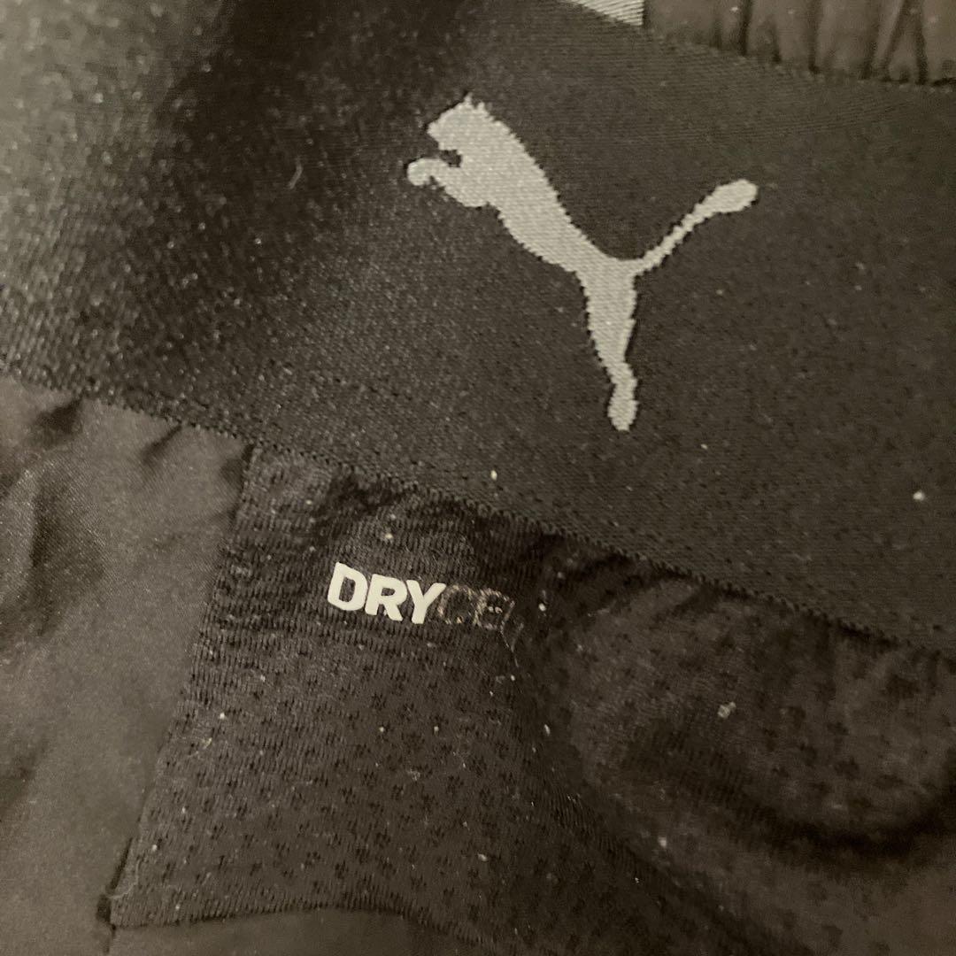 Puma ボルシア・ドルトムント ジャケット パンツ 上下セット