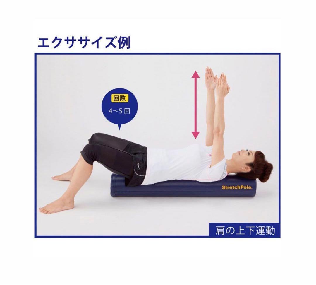 LPN ストレッチポールEX ネイビー　正規品