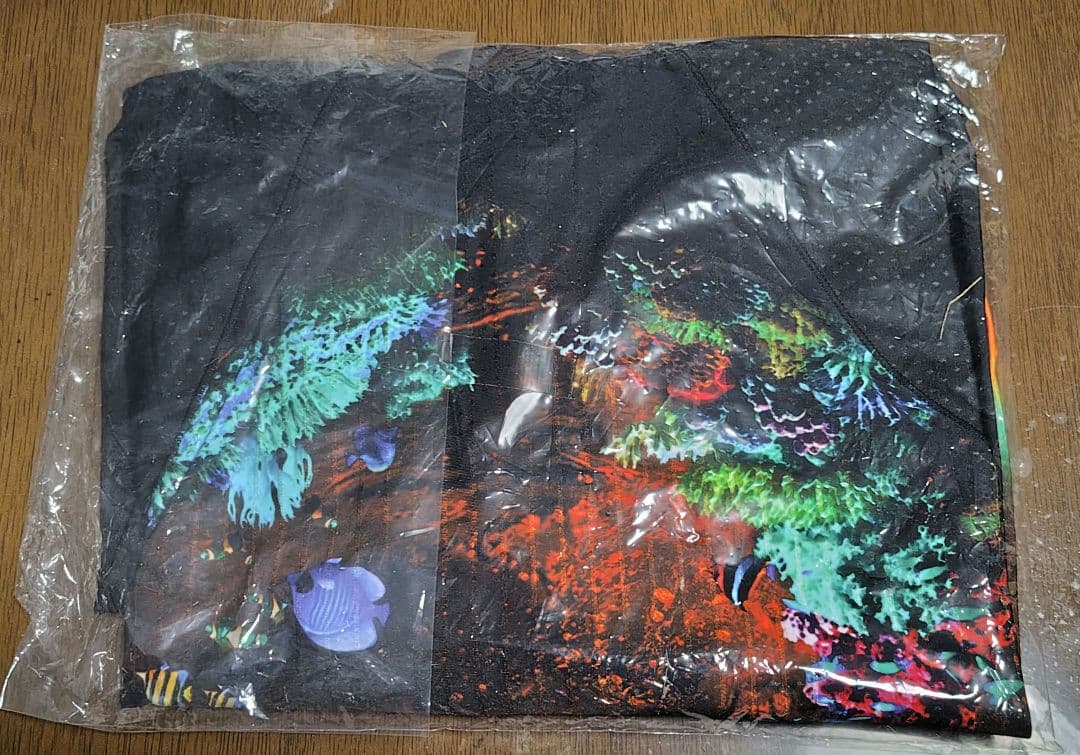 新品　アリーナ　競泳水着　レディース　ＸＯ