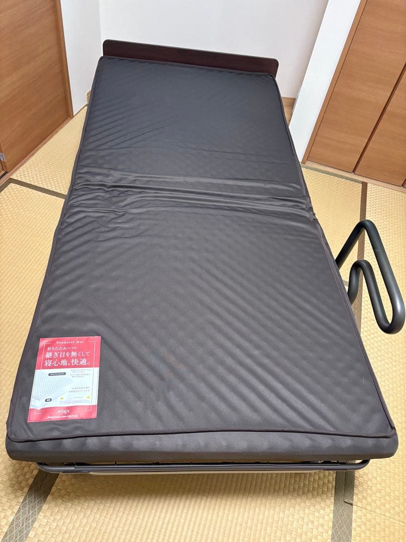 ATEX (アテックス) 電動リクライニングベッド