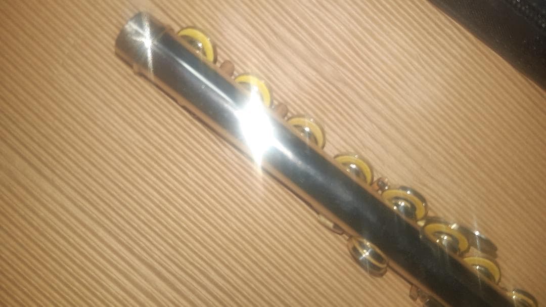 j*p様 (^^♪Altus アルタスA907頭部管銀製925シルバー不良タンポ