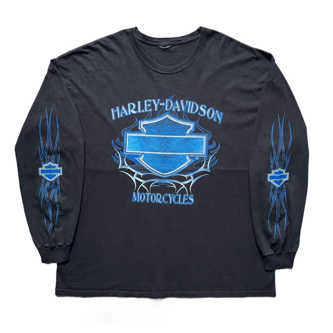 ハーレーダビッドソン ブルーフレイム ロンT 長袖Tシャツ 袖フレイム