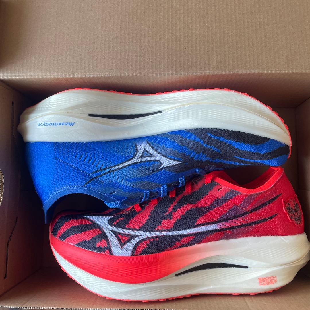 Mizuno ウェーブリベリオンプロロー　26.5cm