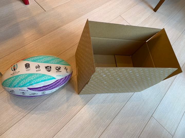 限定値引】ラグビーボール W杯 ワールドカップ 公式エンブレム記念5号