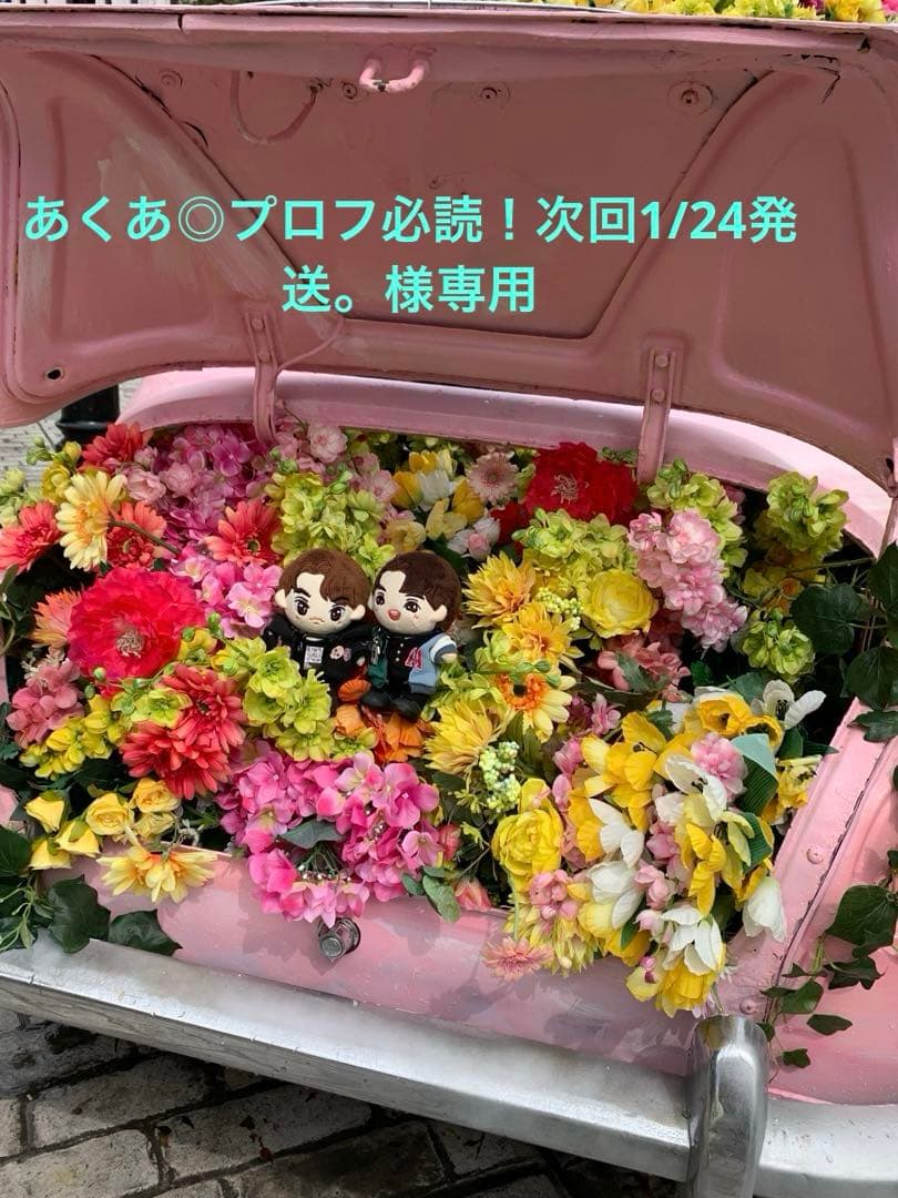 あくあ◎プロフ必読！次回1/24発送。様専用 - メルカリ