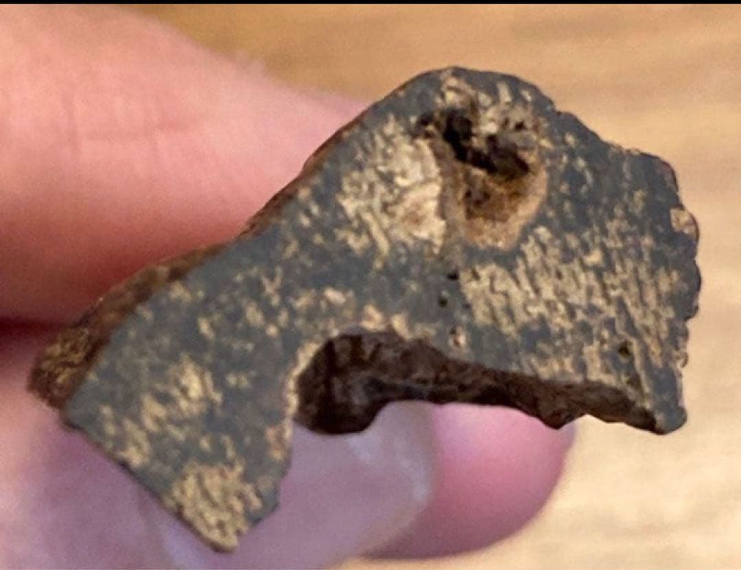 沈水　沈香　香木　タニ　極上　 3.3g