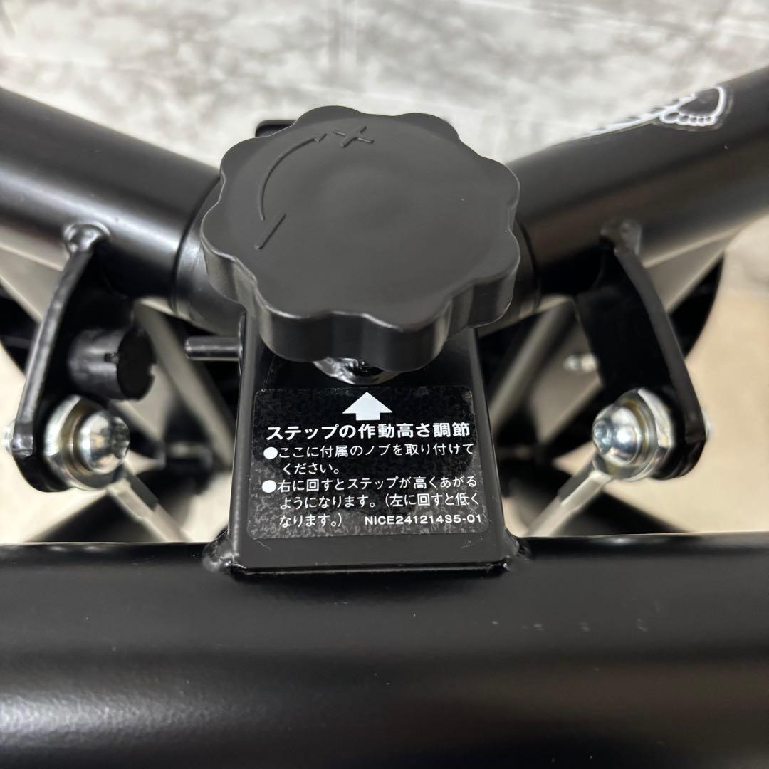 ナイスデイ　健康ステッパー　美品　ウォーキング　散歩　旅行