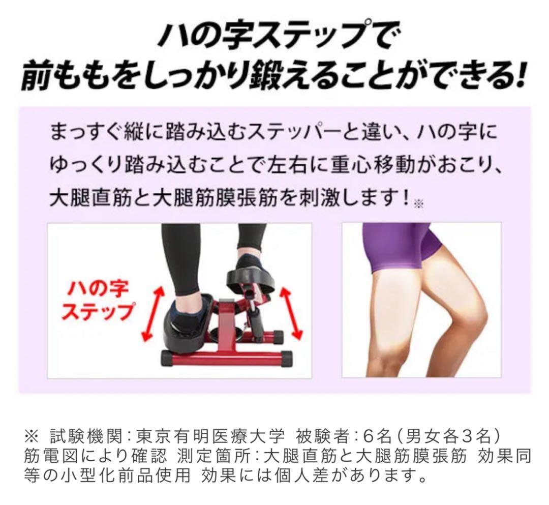 ナイスデイ　健康ステッパー　美品　ウォーキング　散歩　旅行