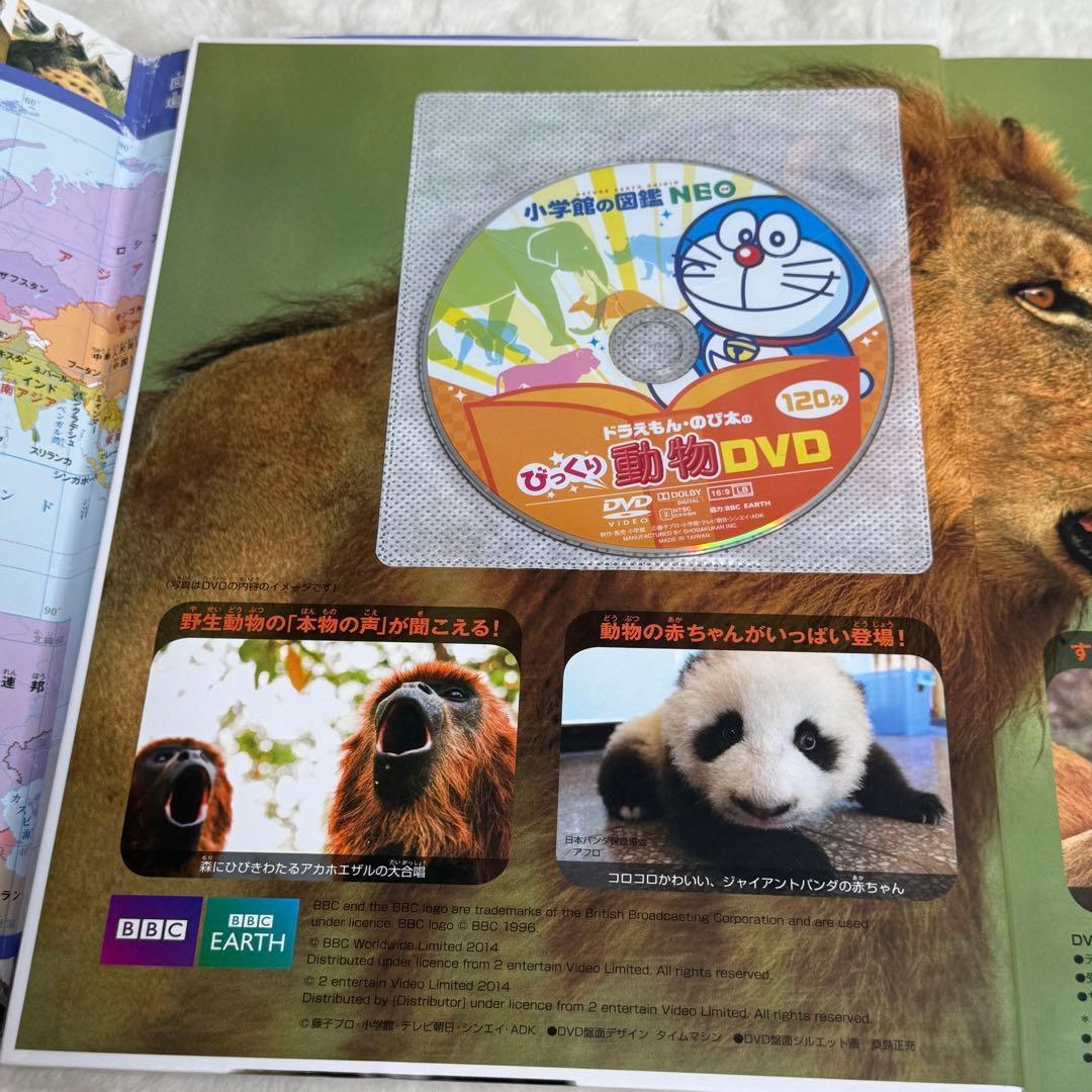 【良品】小学館の図鑑NEO 20冊セット　（全冊カバーあり、DVD・付録多数）